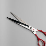 Kamisori Aya II Barber Shears